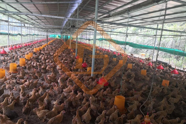 廢棄菌糠發酵做有機肥的方法和步驟，顆粒狀菌糠有機肥生產線有哪些配置